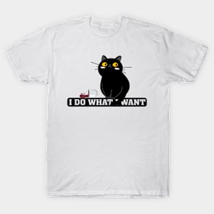 I Do What I Want Cat Lover Sunglasses cat T-Shirt